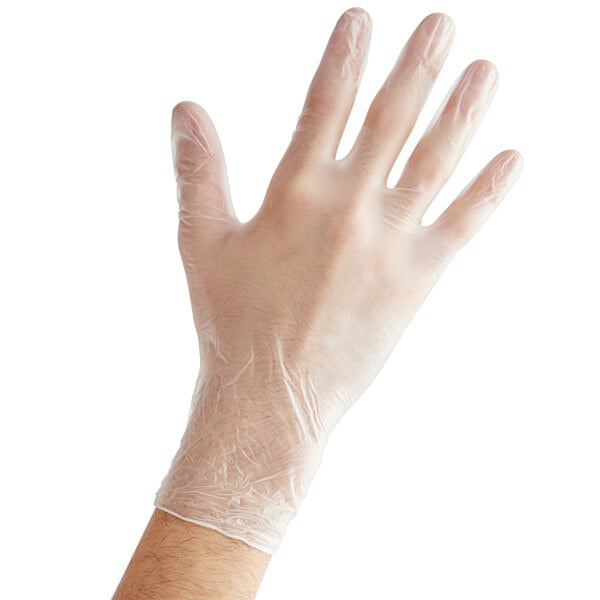 Powder-Free Disposable Vinyl Gloves for Foodservice