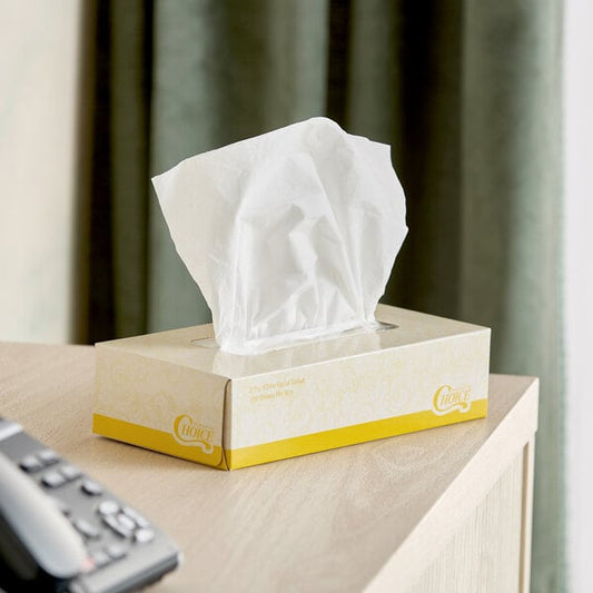 100 Sheet 2-Ply Facial Tissue Box - 30/Case