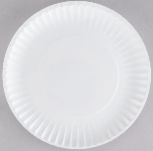 9" White Uncoated Paper Plate