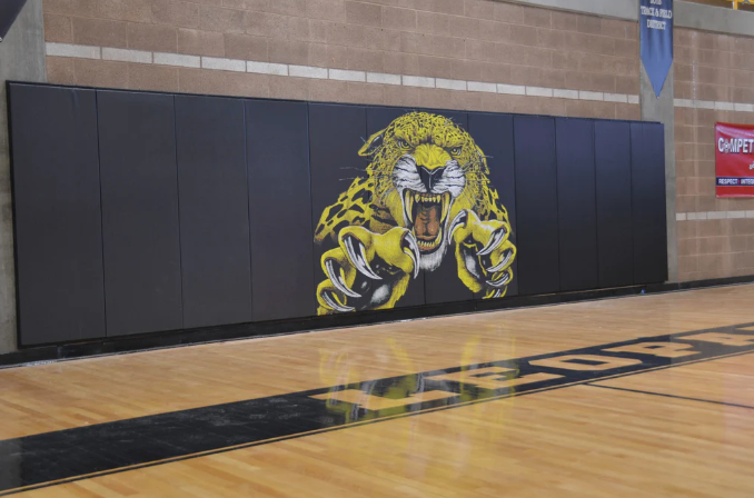 CUSTOM WOOD BACKED GYM WALL PADDING PANELS 2' X 7'