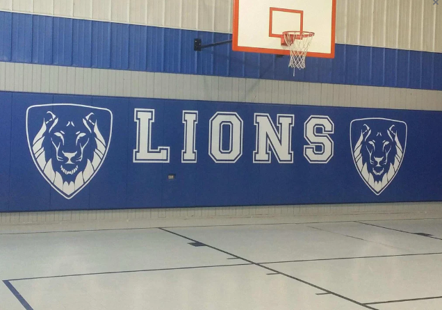 CUSTOM WOOD BACKED GYM WALL PADDING PANELS 2' X 8'