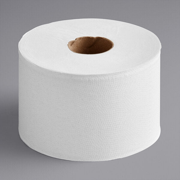 420' 2-Ply Toilet Tissue Roll with 5" Diameter - 24/Case