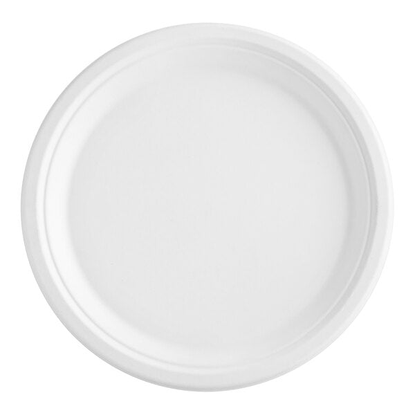 Compostable Sugarcane / Bagasse 10" Plate