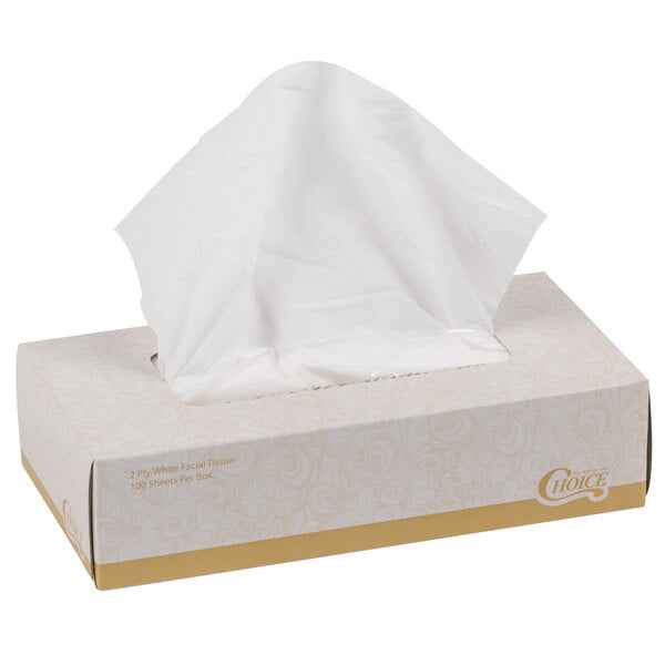 100 Sheet 2-Ply Facial Tissue Box - 30/Case