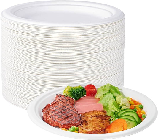 Compostable Sugarcane / Bagasse 10" Plate