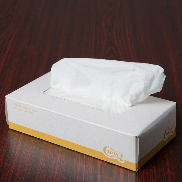 100 Sheet 2-Ply Facial Tissue Box - 30/Case