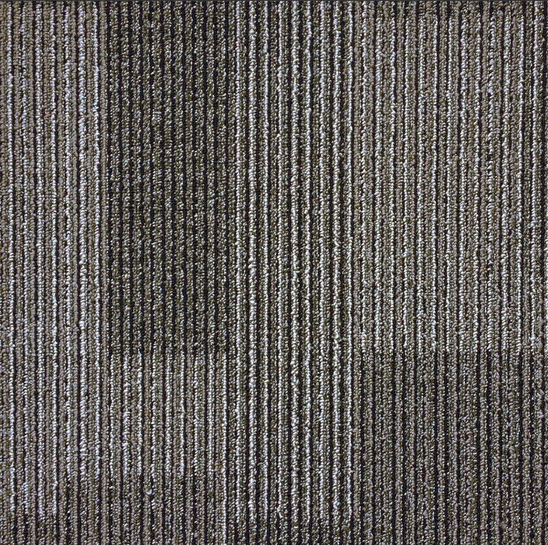 Commercial Carpet Tile - Wolf