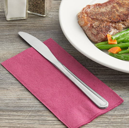 8 7/8" Stainless Steel Medium Weight Dinner Knife