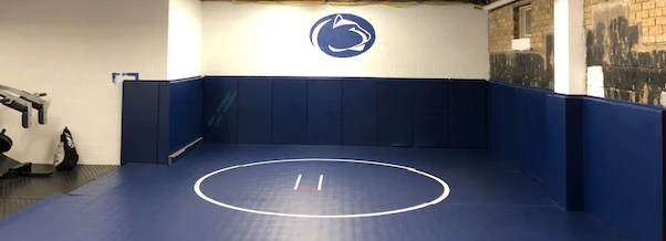 CUSTOM WOOD BACKED GYM WALL PADDING PANELS 2' X 4'